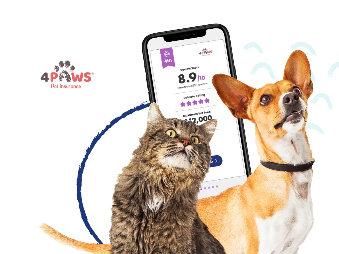 4Paws Hero Image