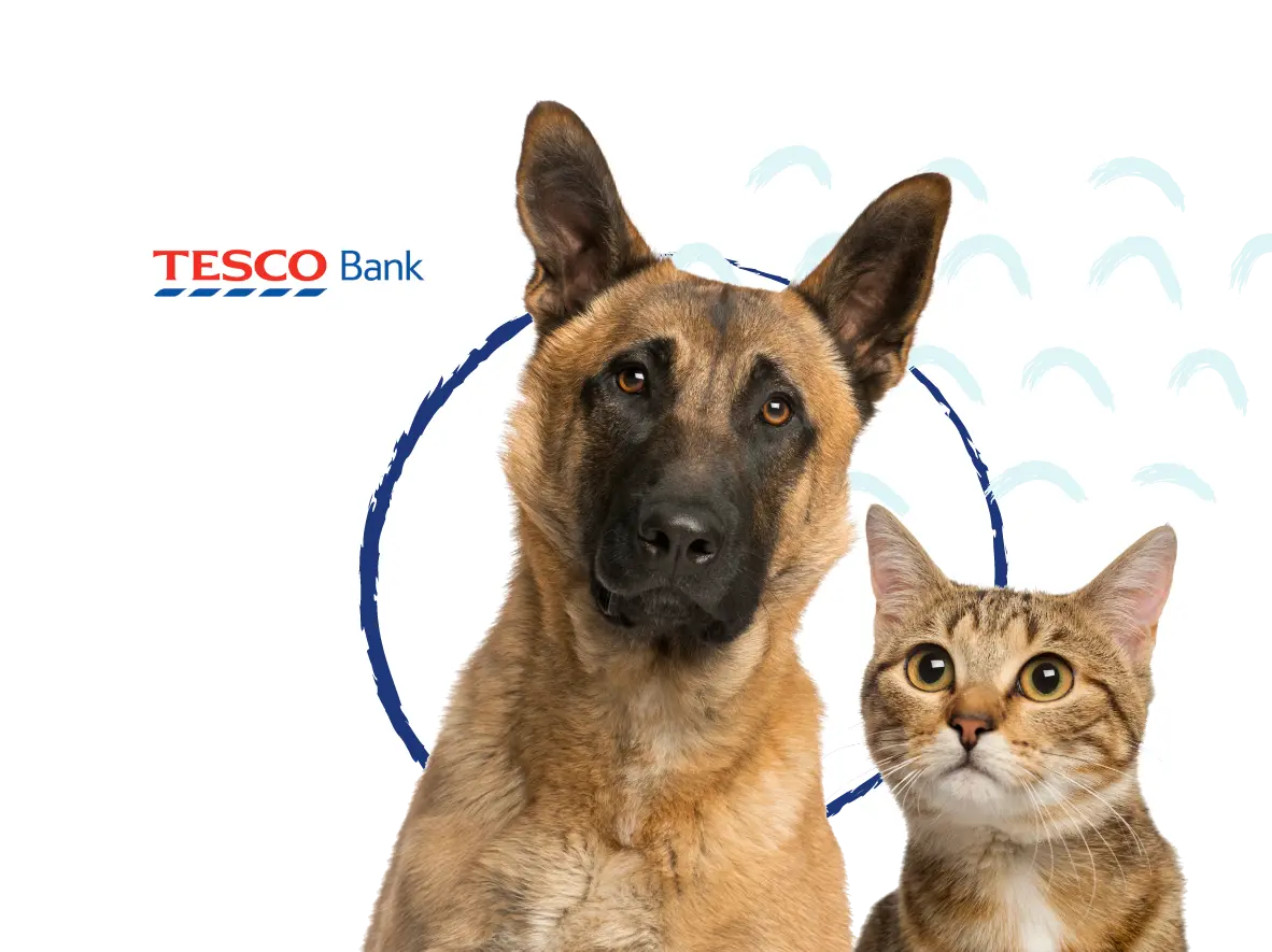 Tesco Bank Hero Image